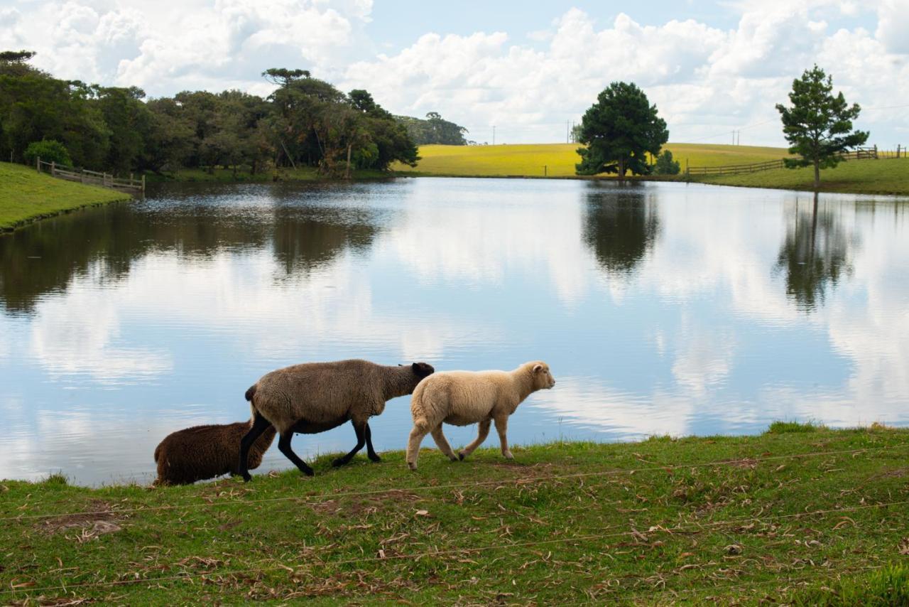 Aires De Patagonia Hotel Cambará Luaran gambar
